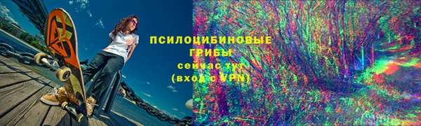 круглые Няндома